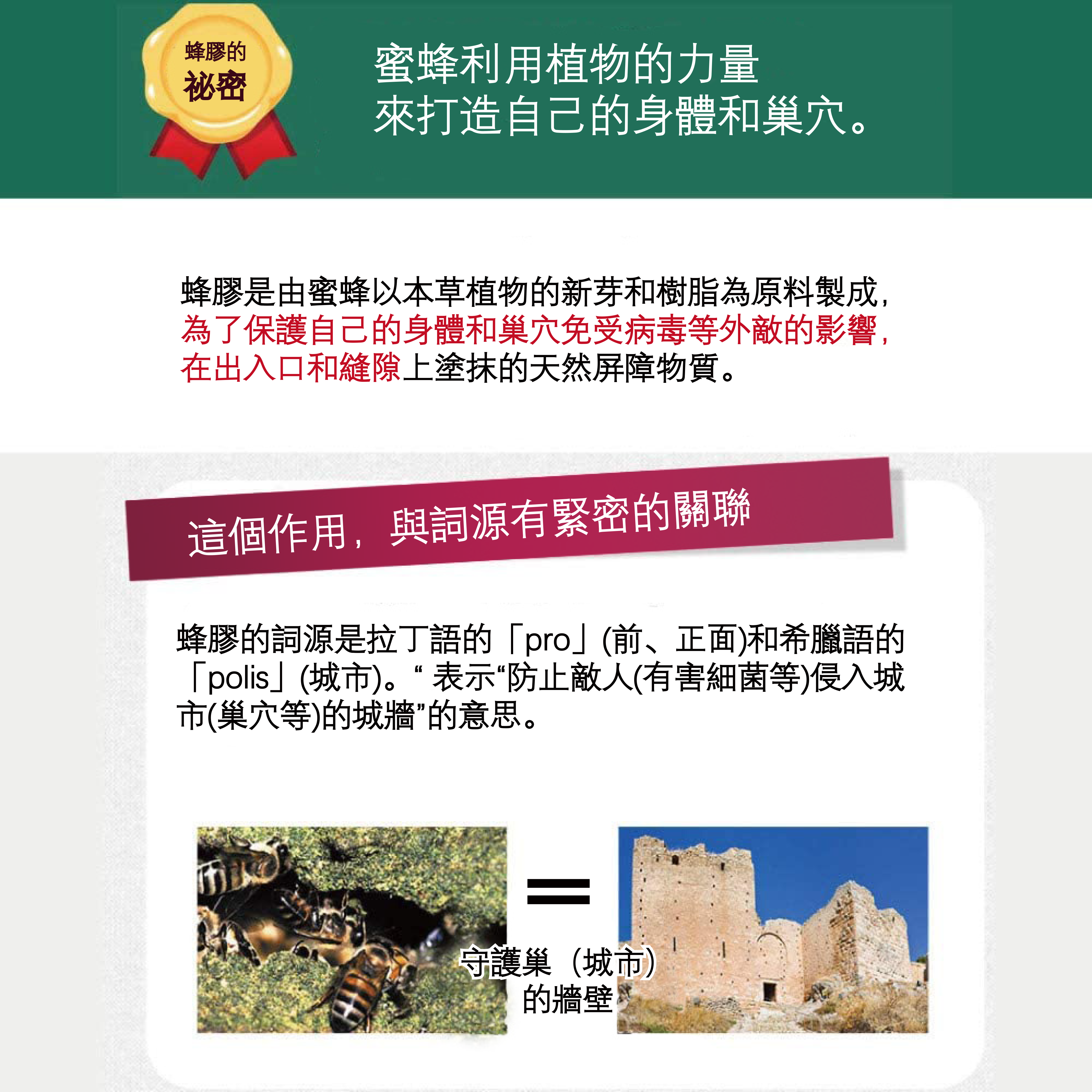 蜂膠膠囊 (補充包)(定期購 30天)