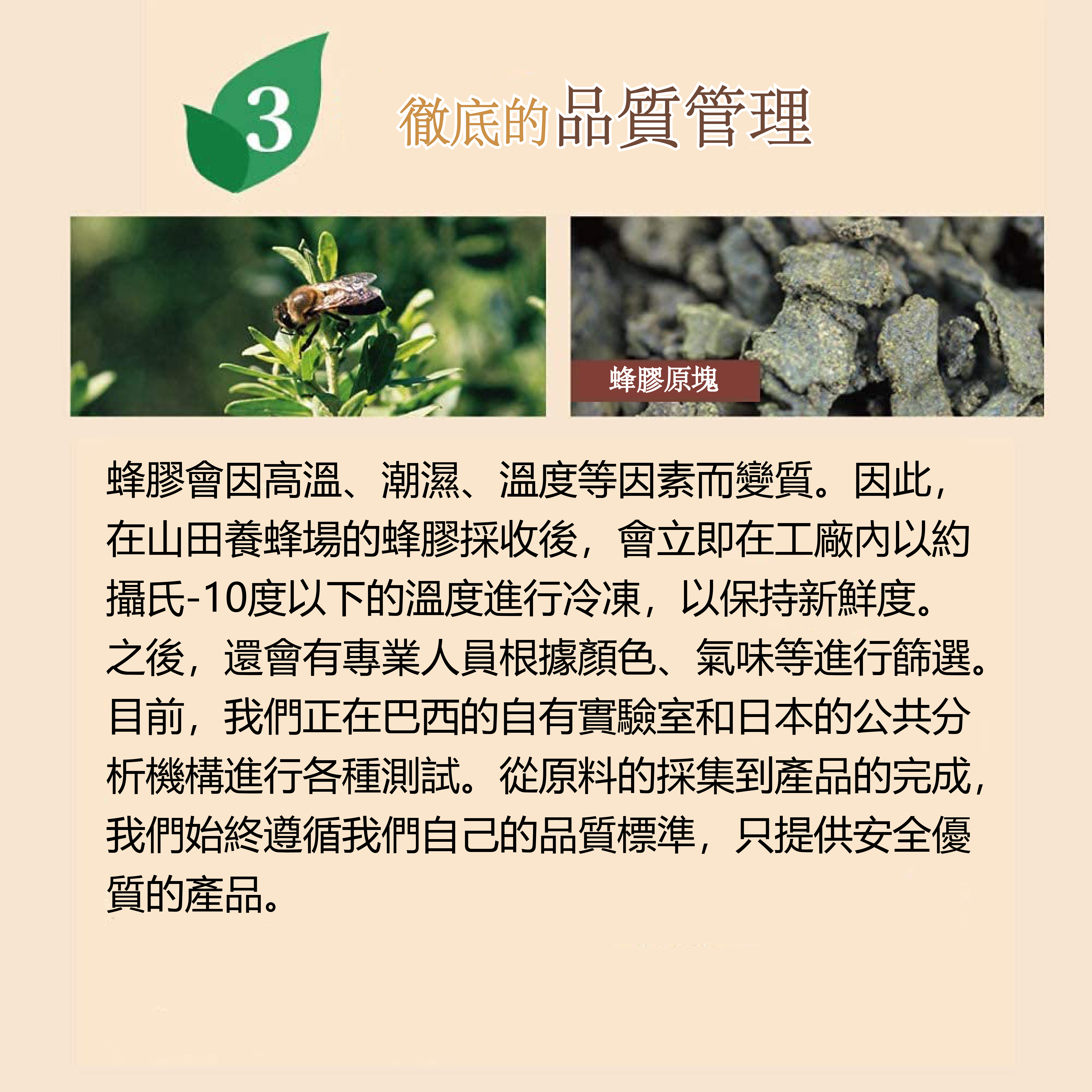 蜂膠膠囊 (補充包)(定期購 30天)